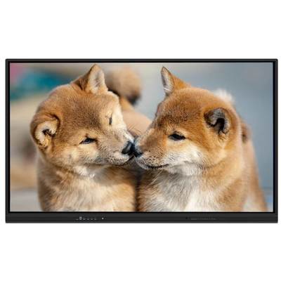 75인치 인터랙티브 플래트 패널 스마트 보드 안드로이드 15 및 WiFi 6 학교 및 사무실