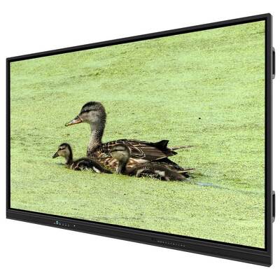 75인치 모든 것 하나 인터랙티브 화이트보드 학교 사무실 회의용 스마트 보드