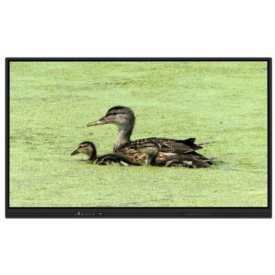 65인치 올인원 인터랙티브 화이트보드, 8+128G 저장 공간 및 적외선 터치, 교육 및 회의용