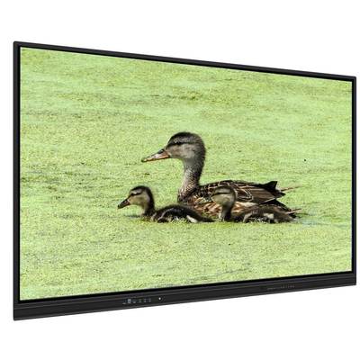 65인치 올인원 인터랙티브 화이트보드, 8+128G 저장 공간 및 적외선 터치, 교육 및 회의용