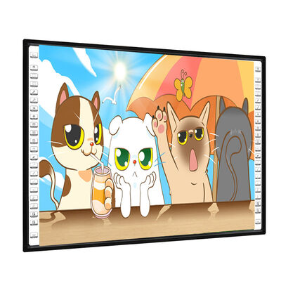 102인치 나노 표면 프로젝션 마커 보드 USB HDMI PC (교실용)