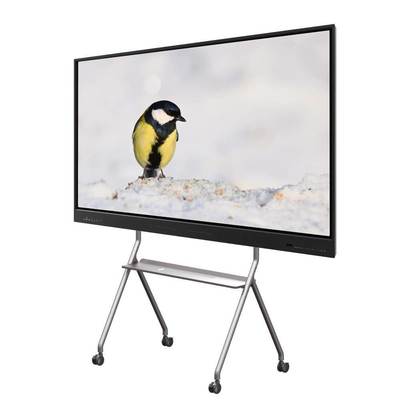 Interactive Flat Panel Android 14 15 EDLA Google APP Play Store 65 75 86 Inch With Wifi Bluetooth Hotspot Education Tools Meeting Software