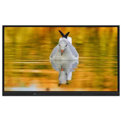 LED 인터랙티브 화이트보드 EDLA Google 인증 Android 14 15 8+128G 스피커 조명 센서 Play 스토어 내장 옵션 카메라 마이크 OPS 스탠드 학교 회의용